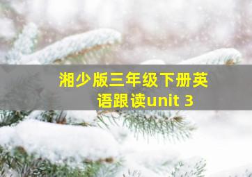 湘少版三年级下册英语跟读unit 3